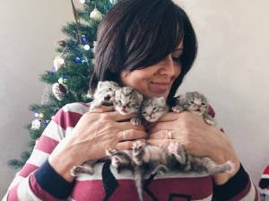 15747800_1269783246411228_3075695807199122067_n